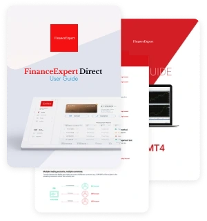 Finance Expert